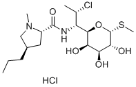 Clindamycin Hydrochloride